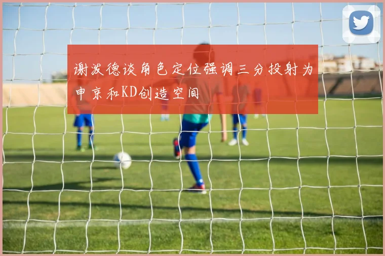 谢泼德谈角色定位强调三分投射为申京和KD创造空间