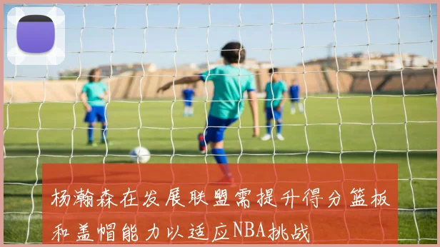 杨瀚森在发展联盟需提升得分篮板和盖帽能力以适应NBA挑战