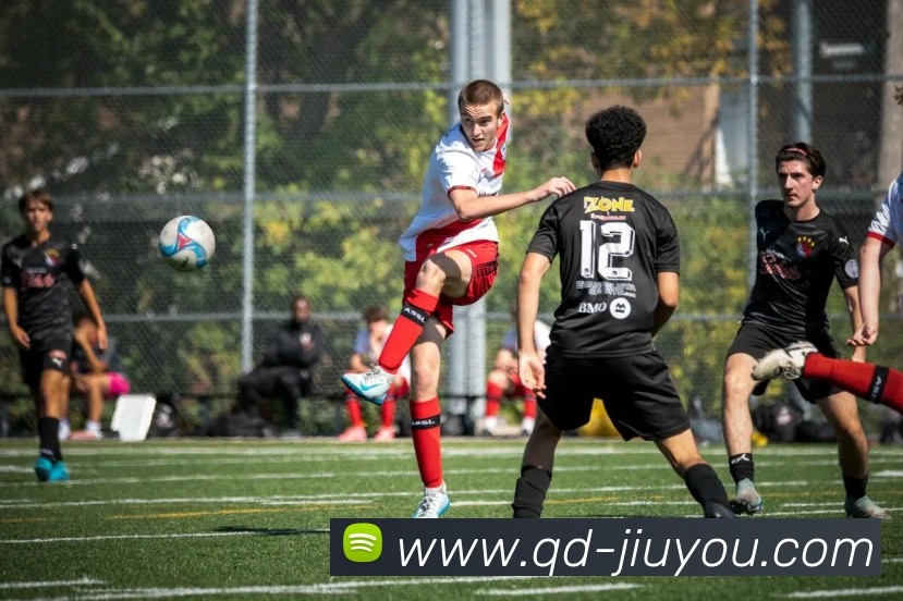 App Interface Preview